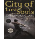 City of Lost Souls Book 5