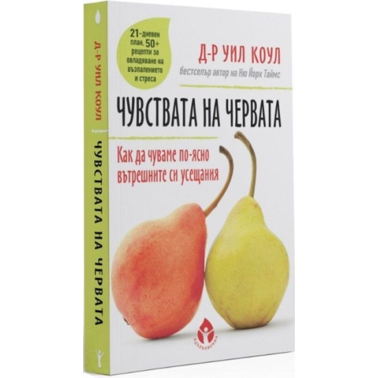 Чувствата на червата. Как да разчитаме по-ясно вътрешните си усещания