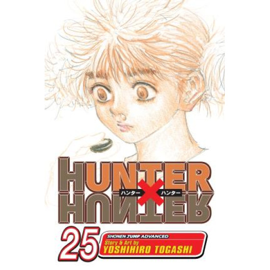 Hunter x Hunter, Vol. 25