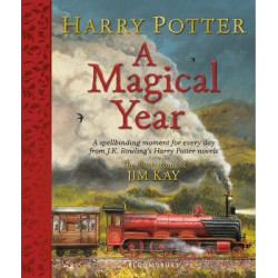 Harry Potter: A Magical Year