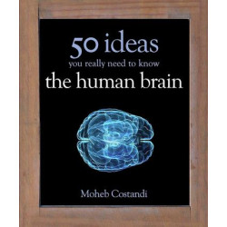 50 Human Brain Ideas You Really Need to Know