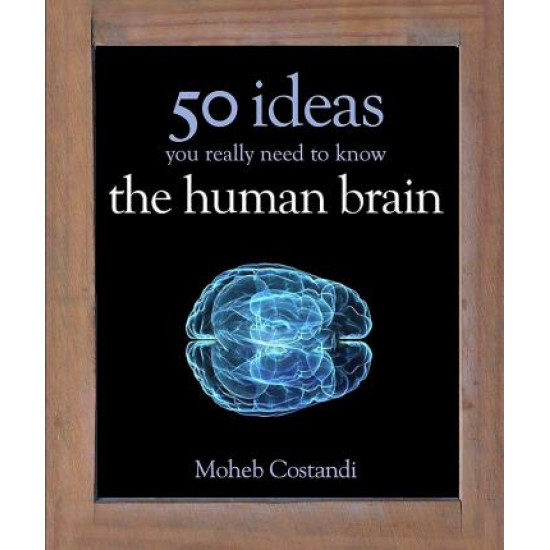 50 Human Brain Ideas You Really Need to Know