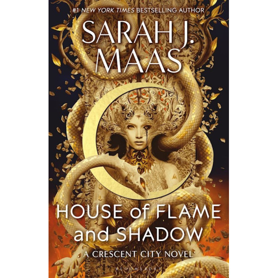 House of Flame and Shadow - book 3