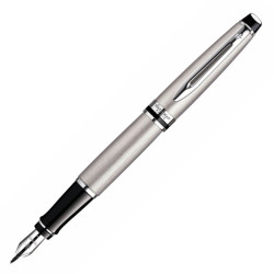 Писалка Waterman Expert Stainless Steel Chrome