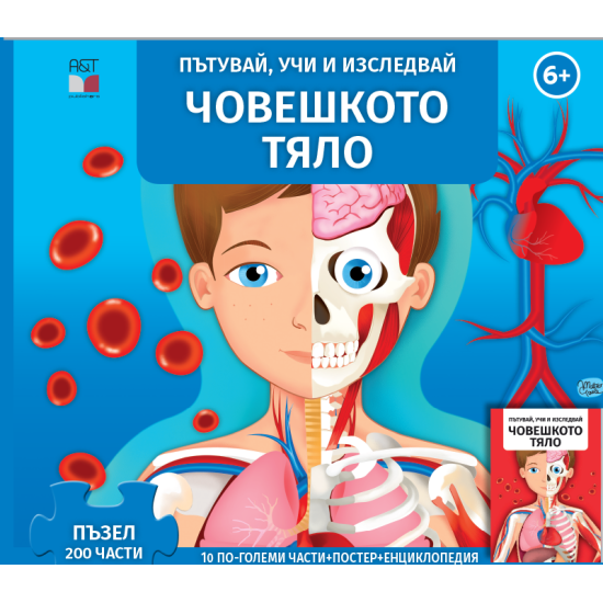 Човешкото тяло - Пътувай, учи и изследвай | Пътувай, Учи и Изследвай