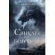 Сянката на боговете - книга 1 - твърди корици | Джон Гуин