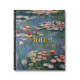 Monet. The Triumph of Impressionism