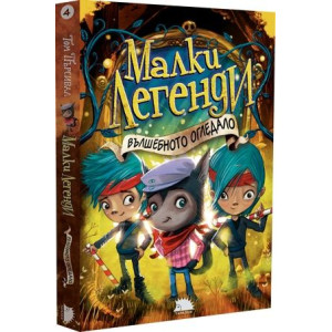 Вълшебното огледало - книга 4