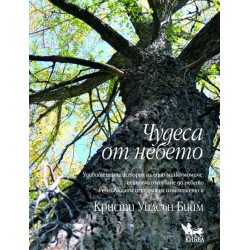 Чудеса от небето Чудеса от небето