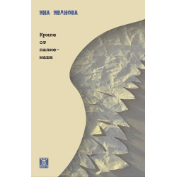 Криле от папиемаше Криле от папиемаше