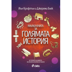 Малка книга за голямата история