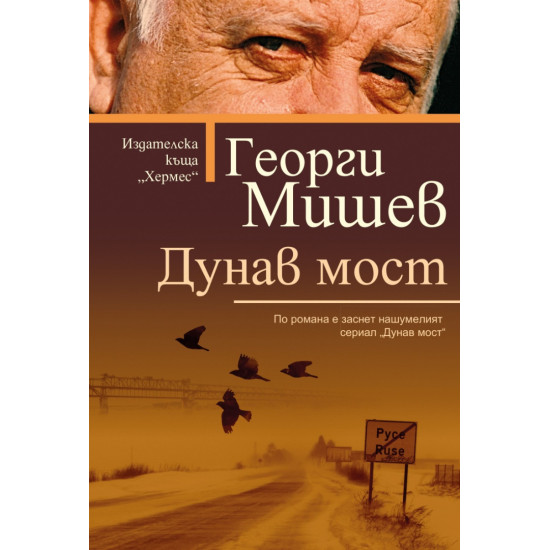 Дунав мост | Георги Мишев