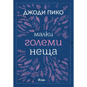 Малки големи неща