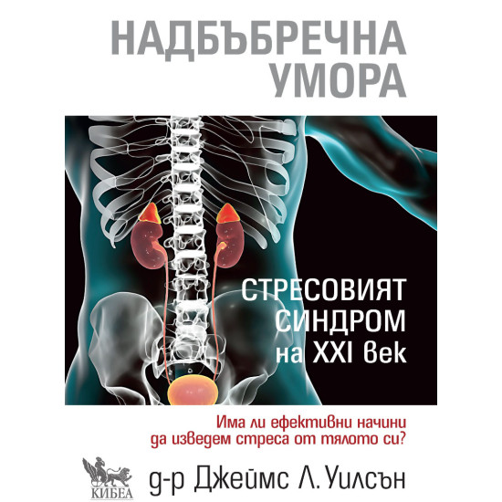 Надбъбречна умора. Стресовият синдром на ХХI век