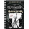 Роден за рок - Дневникът на един Дръндьо - книга 17