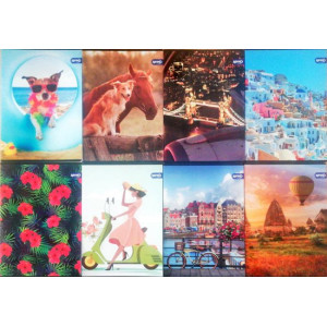 Тетрадка Spree Basic UV A5, 40 листа с тесни и широки редове, асортимент