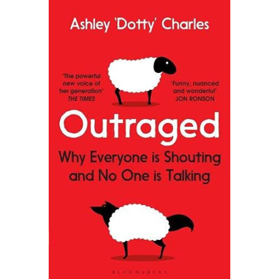 Outraged: Why Everyone is Shouting and No One is Talking