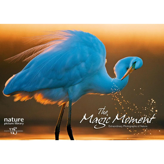 The Magic Moment