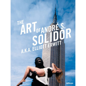 The Art of Andre S Solidor