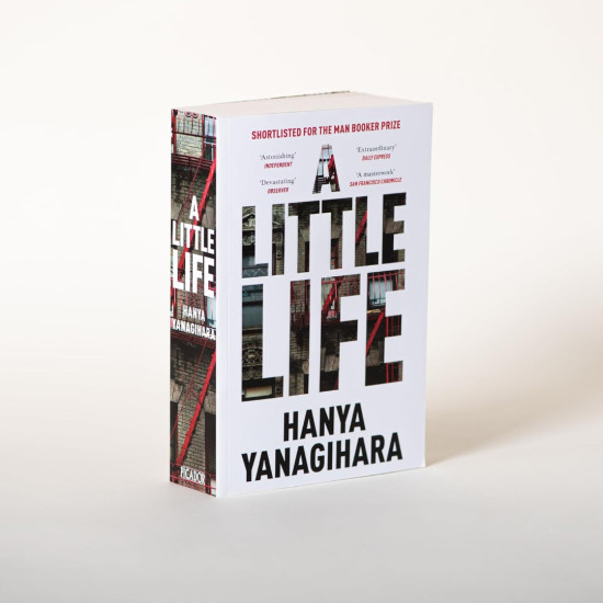 Little Life