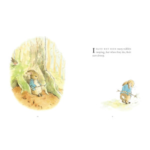 The Further Tale of Peter Rabbit