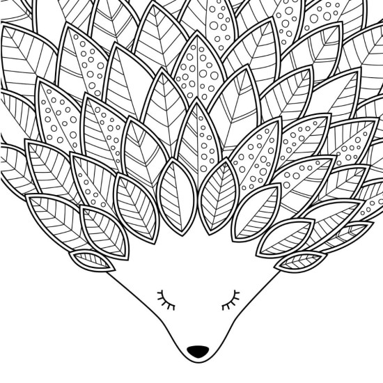 Pretty Simple Coloring: Nature Scenes Pretty Simple Coloring: Nature Scenes