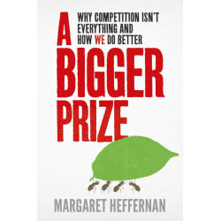 A Bigger Prize: Why Competition isn't Everything and How We Do Better