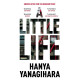 Little Life