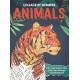 Collage By Numbers: Animals