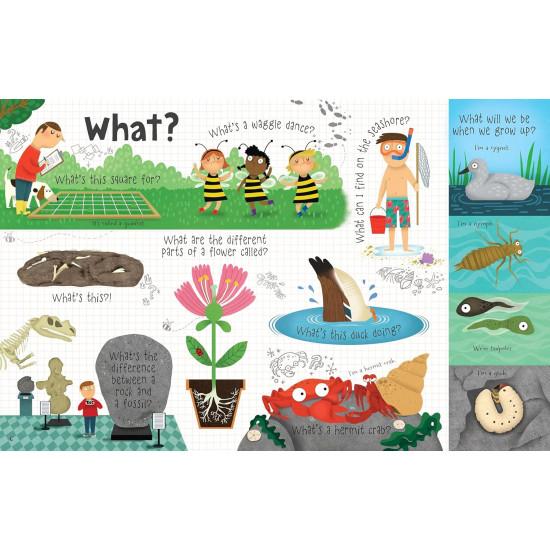 Questions and Answers about Nature