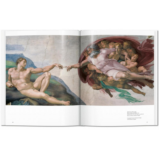 Michelangelo Michelangelo