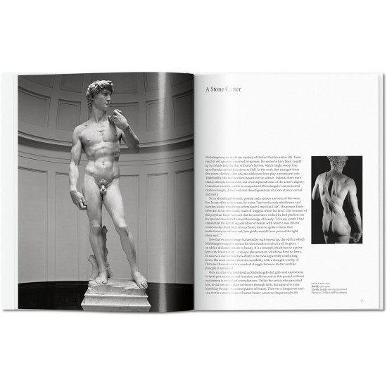 Michelangelo Michelangelo