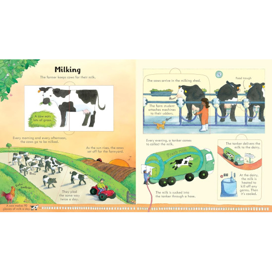 Look Inside a Farm Look Inside a Farm