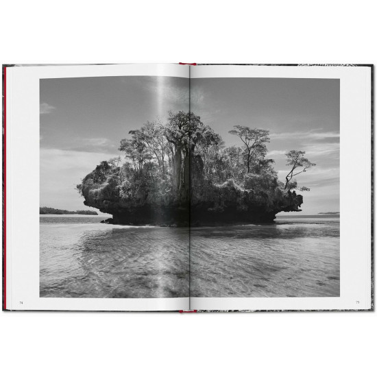 Sebastião Salgado. Genesis