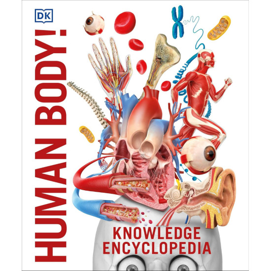 Knowledge Encyclopedia Human Body! Knowledge Encyclopedia Human Body!