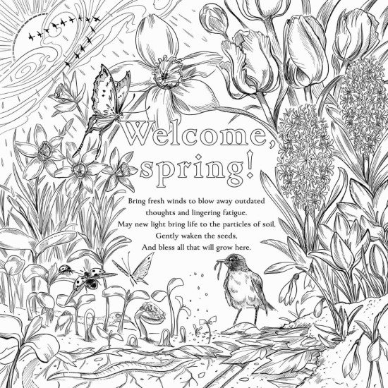 The Green Witch's Coloring Book The Green Witch's Coloring Book