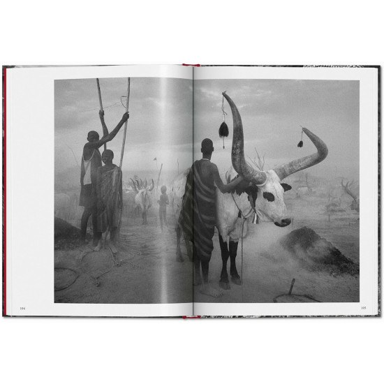 Sebastião Salgado. Genesis