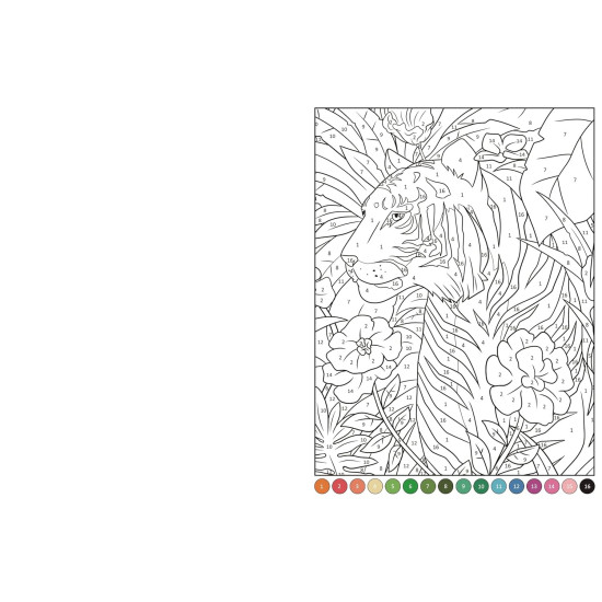 Collage By Numbers: Animals