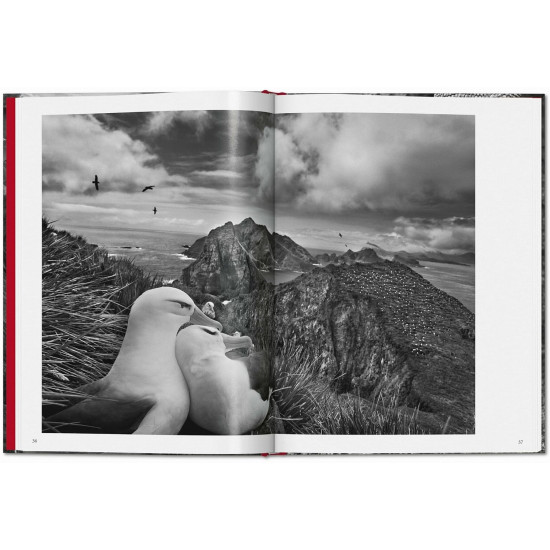 Sebastião Salgado. Genesis
