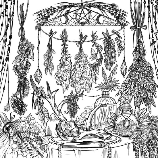The Green Witch's Coloring Book The Green Witch's Coloring Book