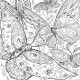 The Green Witch's Coloring Book The Green Witch's Coloring Book