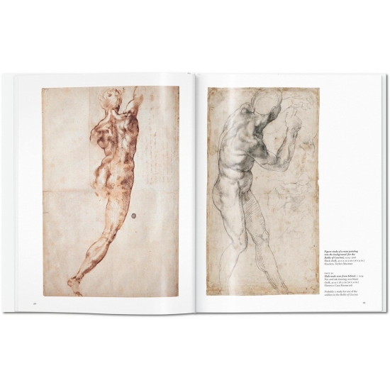 Michelangelo Michelangelo