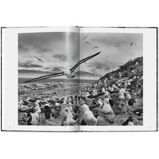 Sebastião Salgado. Genesis