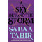 A Sky Beyond the Storm - book 4