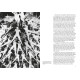 History of Film