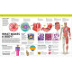Knowledge Encyclopedia Human Body! Knowledge Encyclopedia Human Body!