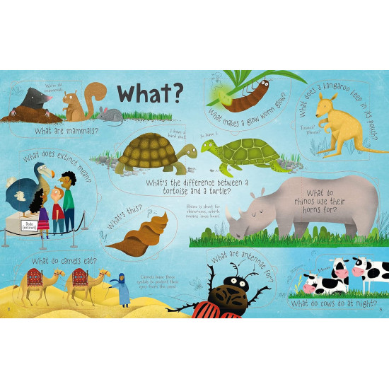 Questions and Answers About Animals
