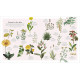 The Herb Book: The Stories, Science, and History of Herbs