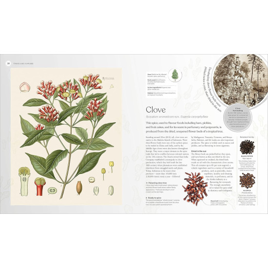 The Herb Book: The Stories, Science, and History of Herbs