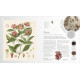 The Herb Book: The Stories, Science, and History of Herbs